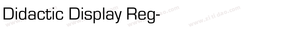 Didactic Display Reg字体转换